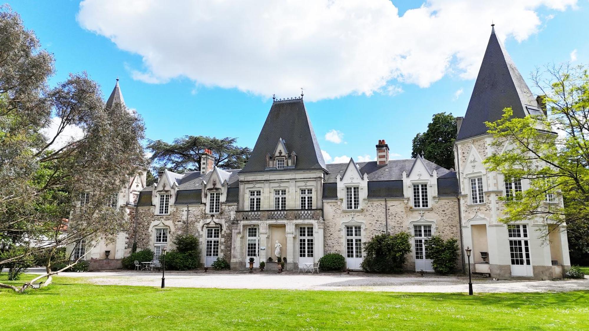 Chateau Du Bois De La Noe Bouaye Exteriér fotografie