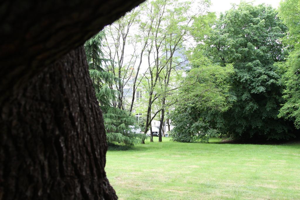 Chateau Du Bois De La Noe Bouaye Exteriér fotografie
