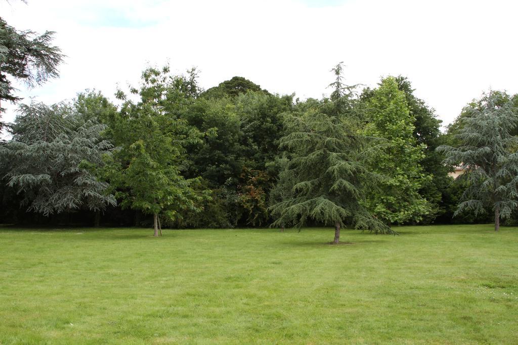 Chateau Du Bois De La Noe Bouaye Exteriér fotografie