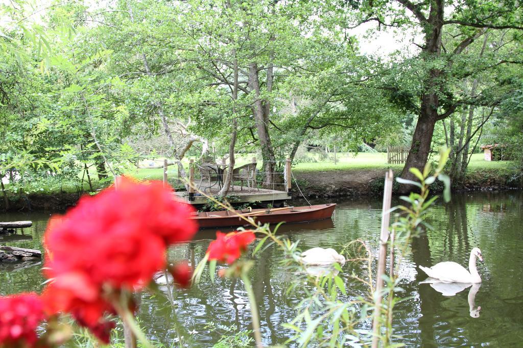 Chateau Du Bois De La Noe Bouaye Exteriér fotografie